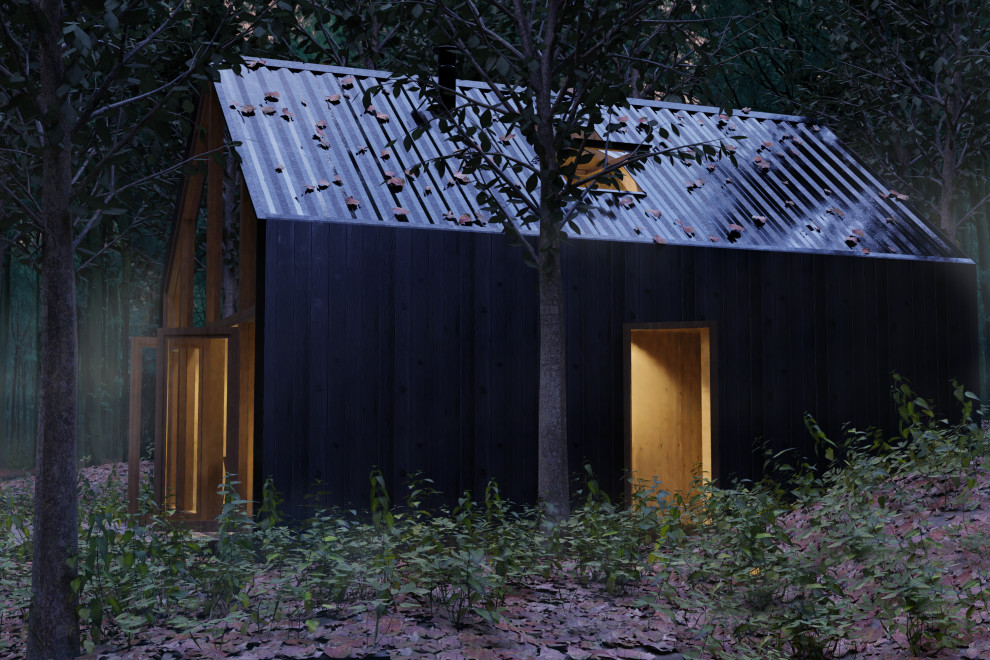 Inspiration for a small modern black two-story metal tiny house remodel in Other with a shed roof and a metal roof