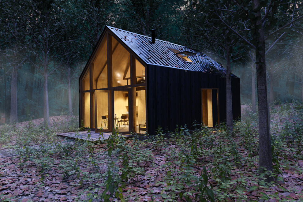 Foto de fachada negra minimalista pequeña de dos plantas con revestimiento de metal, tejado de un solo tendido, microcasa y tejado de metal