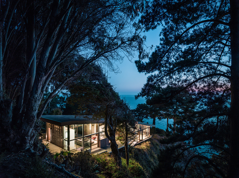 Mittelgroßes, Einstöckiges Modernes Haus mit Glasfassade in San Francisco