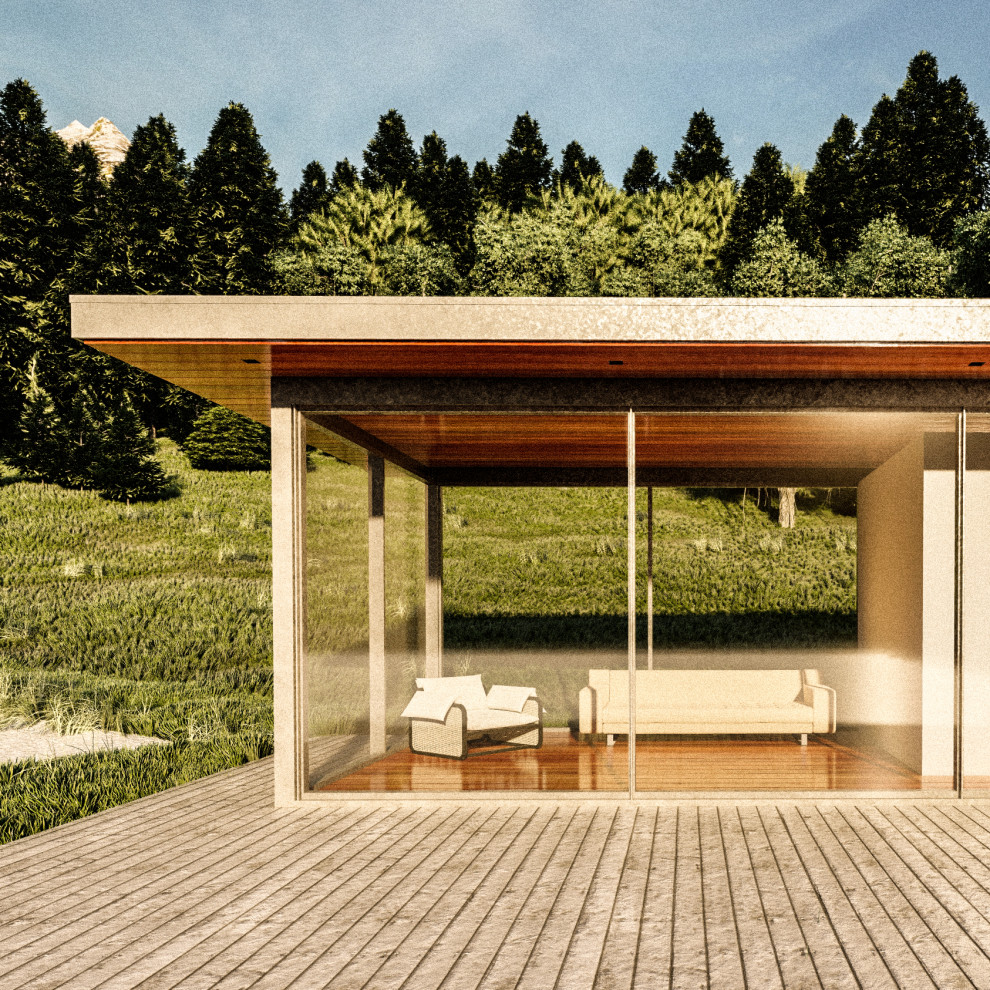 Exempel på ett litet minimalistiskt grått hus, med allt i ett plan, glasfasad, platt tak och tak i metall