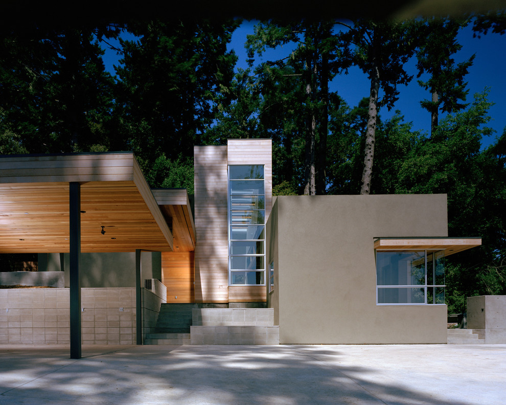 Immagine della facciata di una casa moderna a due piani di medie dimensioni con rivestimenti misti e tetto piano