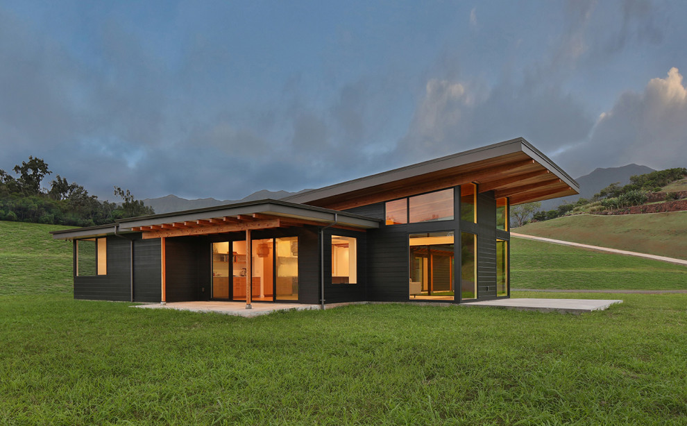 Idee per la facciata di una casa nera moderna a un piano di medie dimensioni con rivestimento con lastre in cemento e copertura in metallo o lamiera