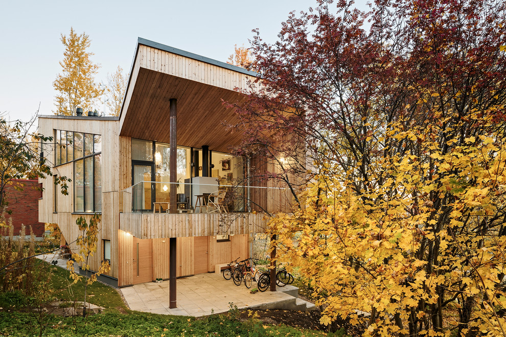 Идея дизайна: двухэтажный, деревянный дом в скандинавском стиле с односкатной крышей