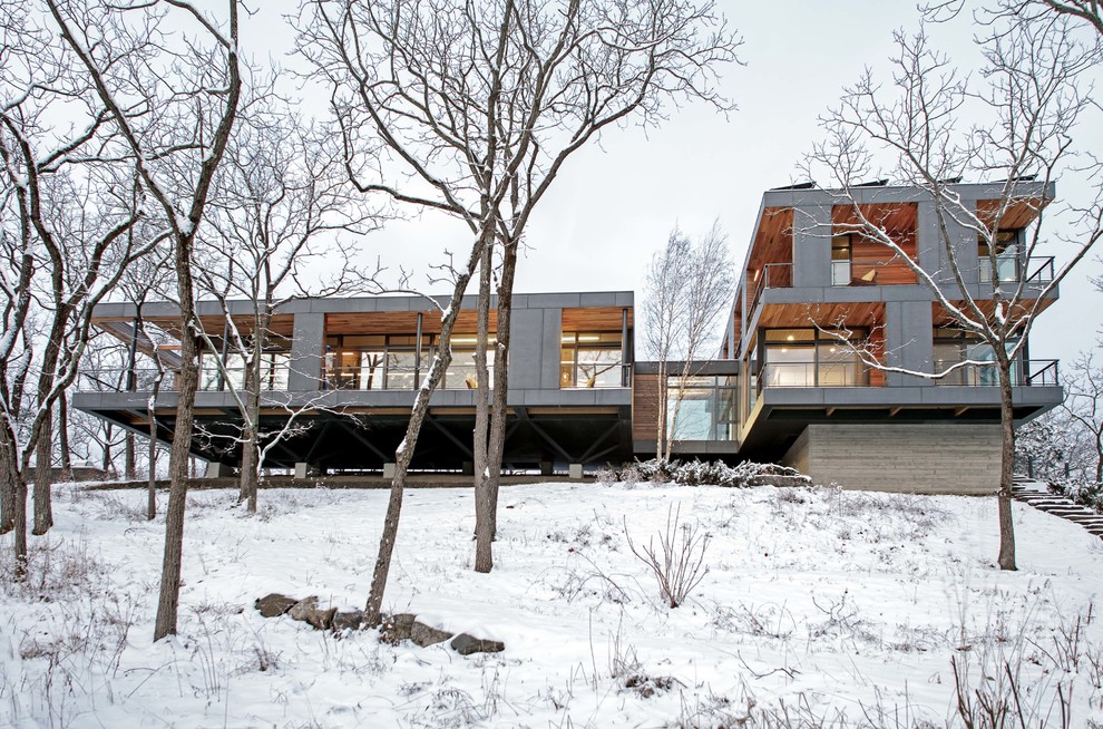 Пример оригинального дизайна: большой, двухэтажный, серый частный загородный дом в стиле модернизм с облицовкой из бетона, плоской крышей и зеленой крышей