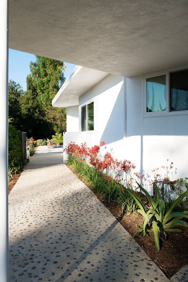Стильный дизайн: большой, одноэтажный, белый дом в стиле модернизм с облицовкой из цементной штукатурки - последний тренд