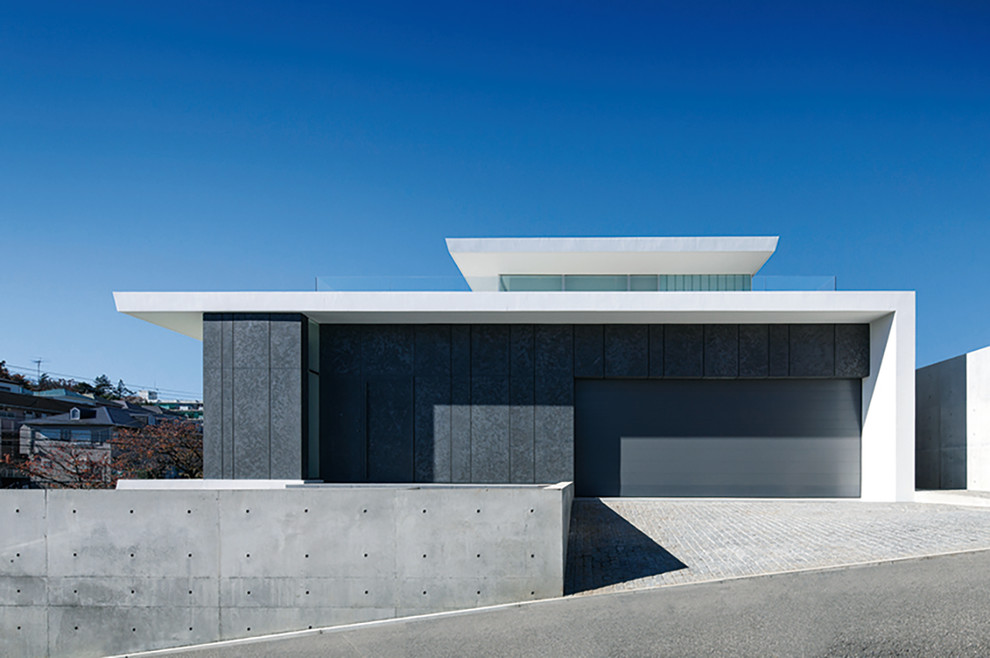 Cette photo montre une grande façade de maison noire moderne en pierre à un étage avec un toit plat.