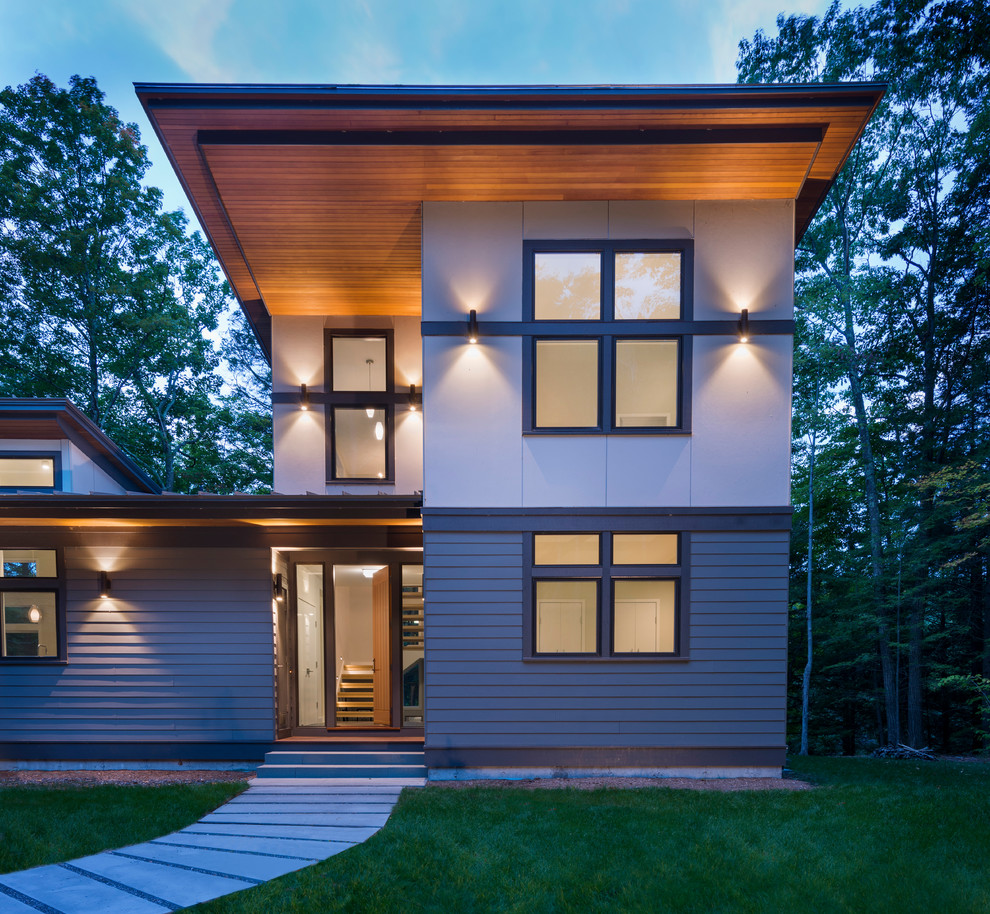 Ispirazione per la casa con tetto a falda unica grigio contemporaneo a due piani di medie dimensioni con rivestimento con lastre in cemento