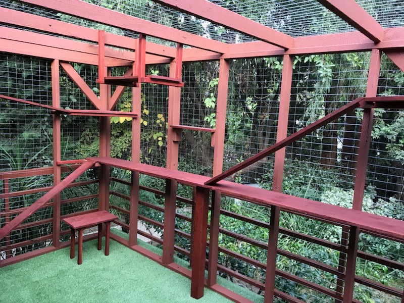 Imagen de fachada de casa roja rústica de tamaño medio de una planta con revestimiento de madera
