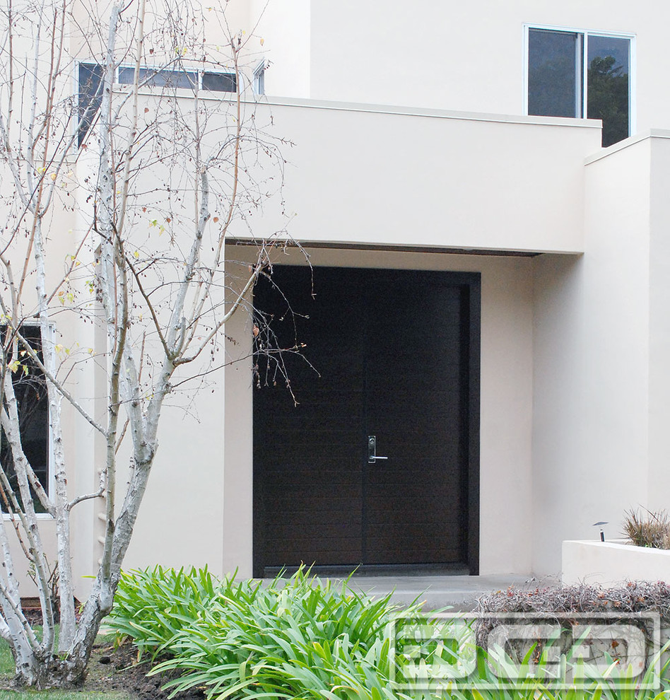 Los Angeles Custom Modern Garage Doors & Matching Entry Door System
