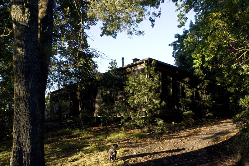 Macclesfield House Contemporary Exterior Melbourne by Statkus Architecture Pty Ltd Houzz