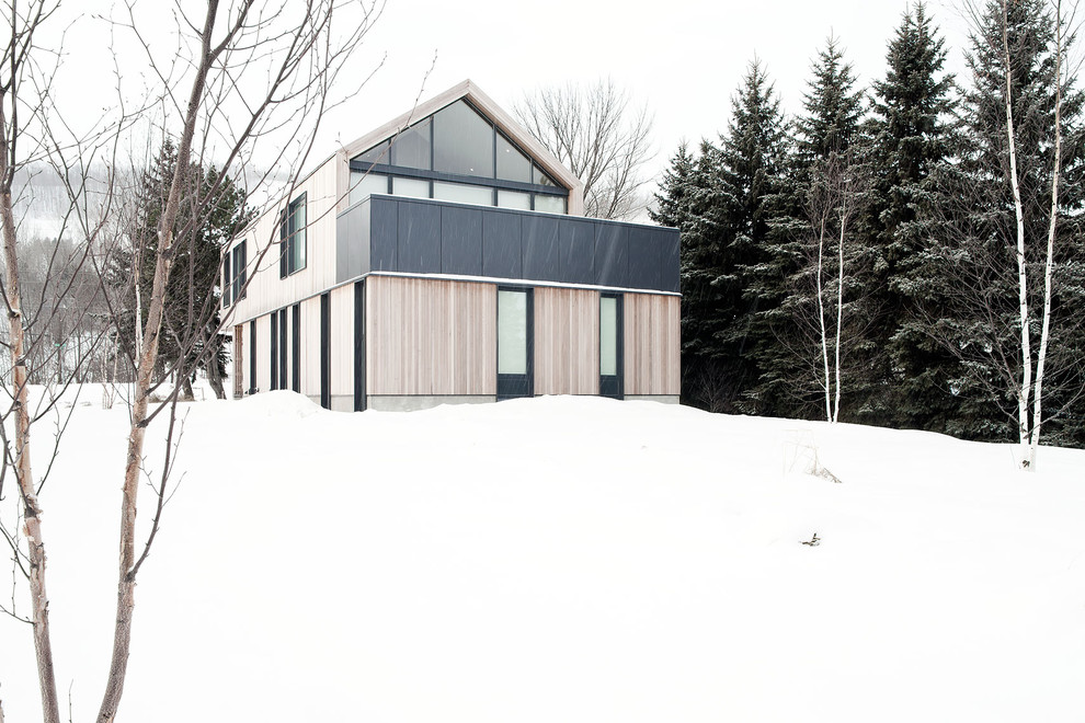 Example of a danish exterior home design in Toronto