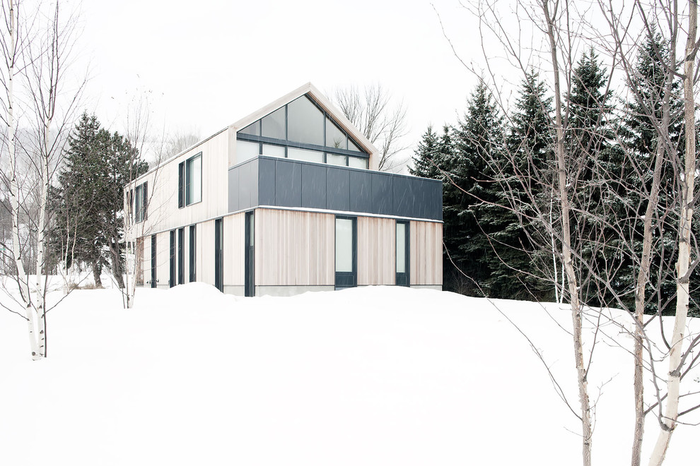 Ispirazione per la facciata di una casa scandinava con rivestimento in legno