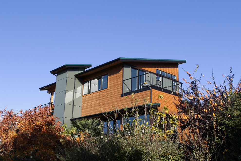 シアトルにあるラグジュアリーな巨大なミッドセンチュリースタイルのおしゃれな家の外観 (コンクリート繊維板サイディング、緑の外壁) の写真