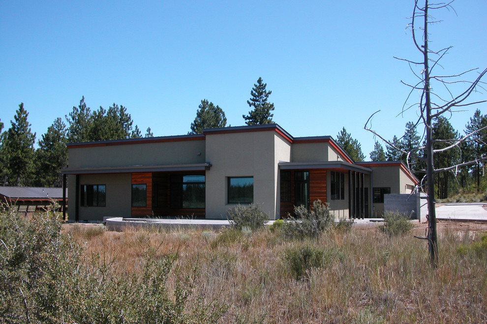 Foto de fachada verde contemporánea de tamaño medio de una planta con revestimiento de estuco y tejado plano