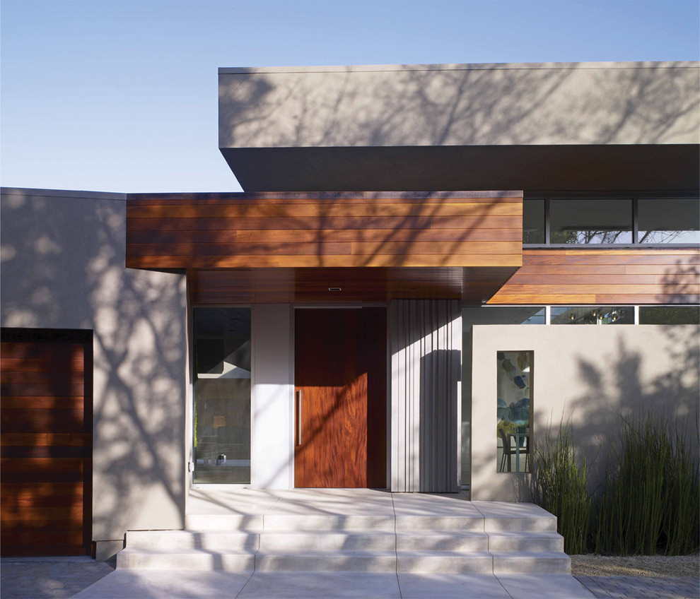 Идея дизайна: одноэтажный дом в стиле модернизм