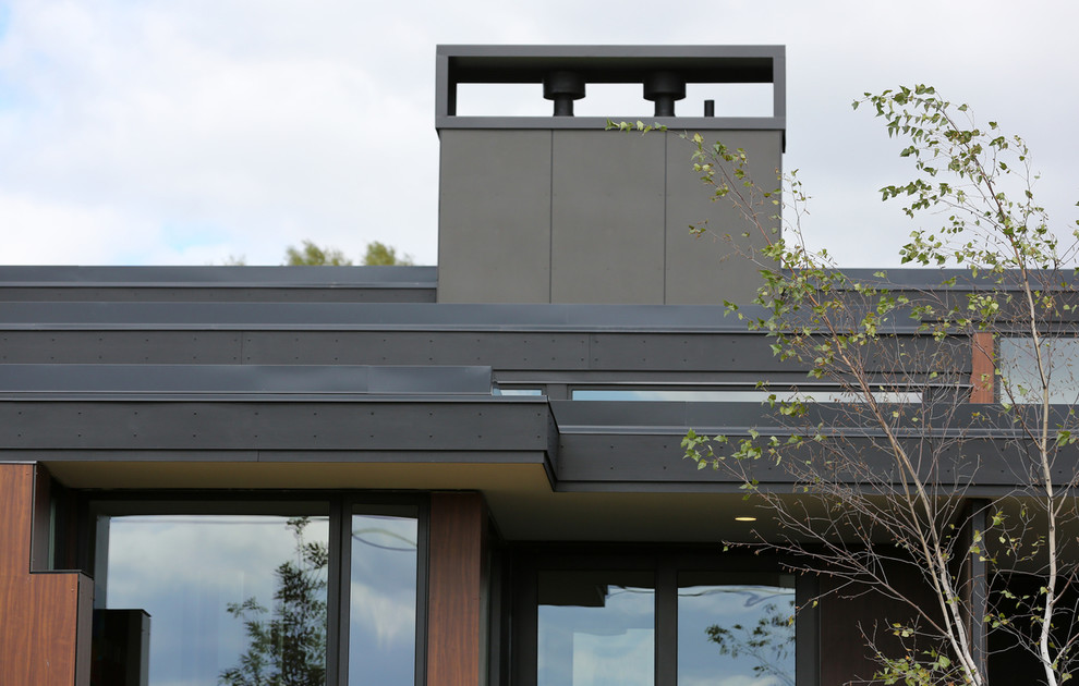 Foto della facciata di una casa ampia grigia contemporanea a due piani con rivestimenti misti e tetto piano