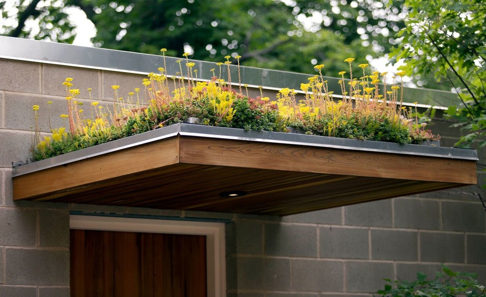 Modelo de fachada gris actual de tamaño medio de una planta con revestimiento de hormigón y tejado plano