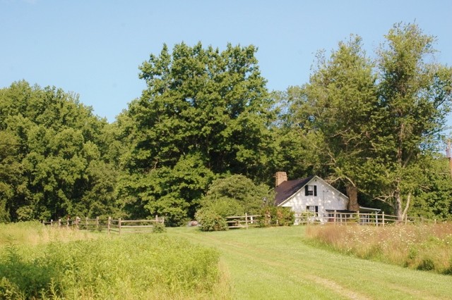 Design ideas for a small and white rustic house exterior in DC Metro with three floors and wood cladding.