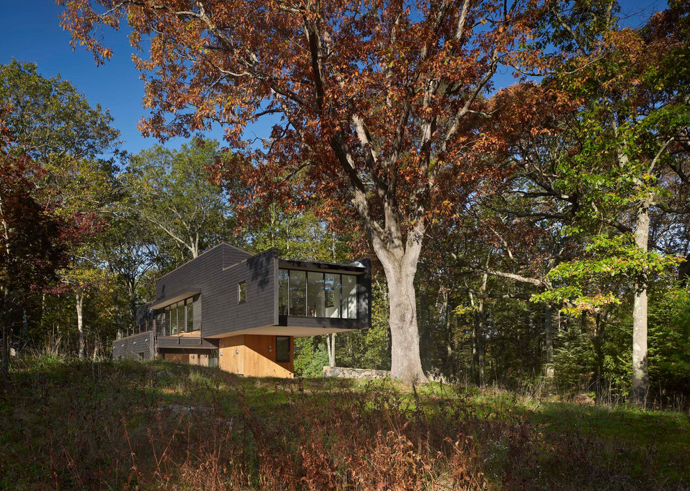Example of a minimalist wood exterior home design in Other