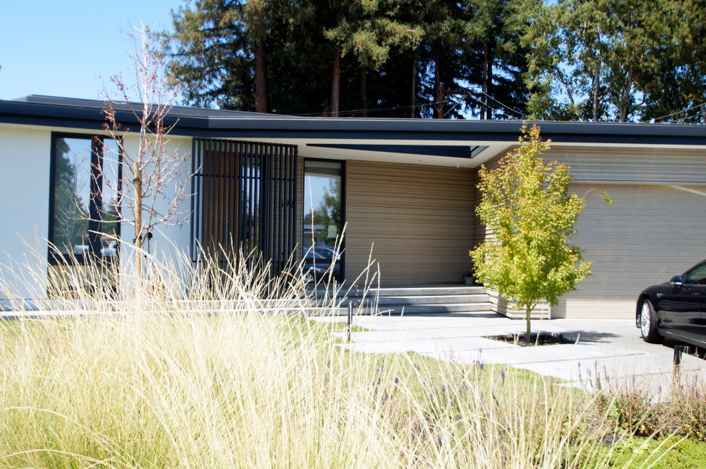 Idées déco pour une façade de maison beige moderne de plain-pied avec un revêtement mixte et un toit plat.