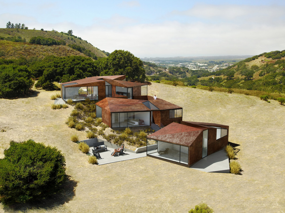 Стильный дизайн: коричневый дом в стиле модернизм с облицовкой из металла и крышей из смешанных материалов - последний тренд