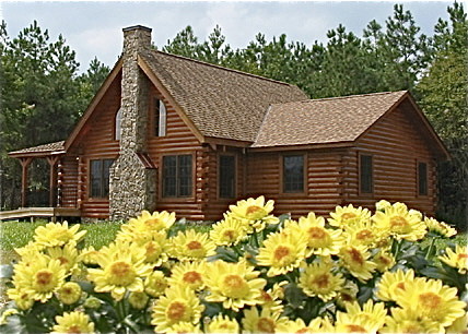 This is an example of a rustic house exterior in Other.