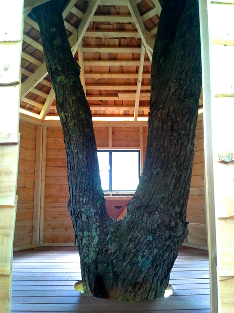 Tree Platform New York 4 Platform Tree House Traditional Kids