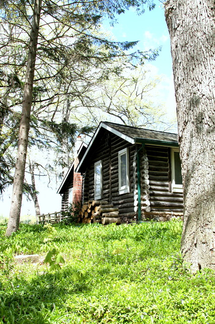 LOG CABIN DAY - June 30, 2024 - National Today