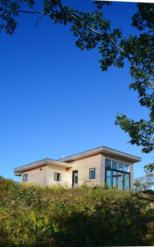 Aménagement d'une façade de maison contemporaine en bois de taille moyenne et de plain-pied avec un toit en appentis.