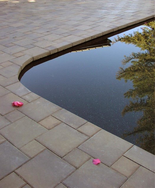 Paver Pool Deck Traditional House Exterior San Francisco by The
