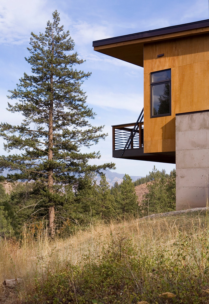 Idées déco pour une façade de maison moderne.