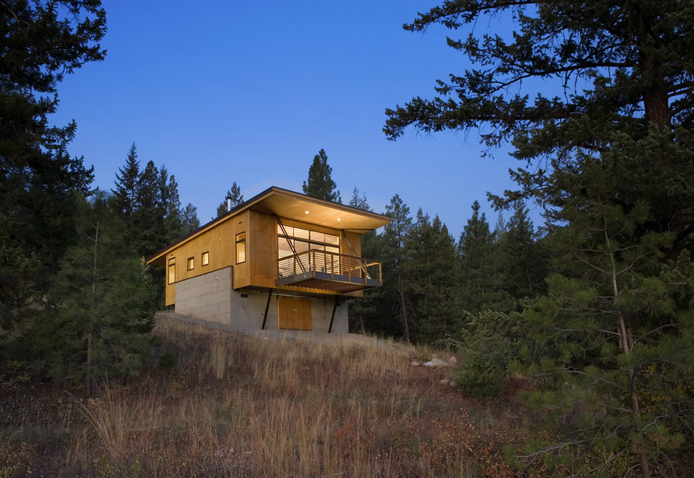 Cette photo montre une petite façade de maison beige tendance en bois de plain-pied avec un toit en appentis.