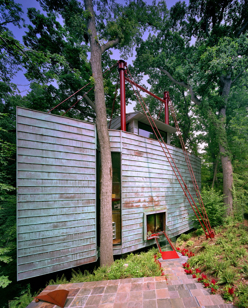 ワシントンD.C.にあるエクレクティックスタイルのおしゃれな家の外観 (メタルサイディング) の写真