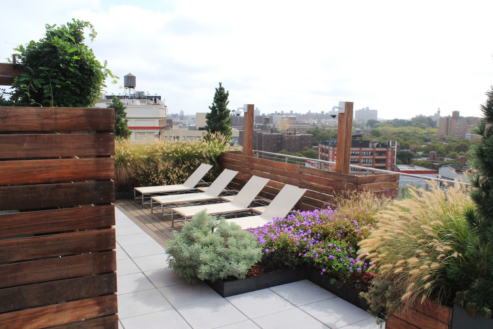 Rooftop Downtown Brooklyn Modern Exterior New York by Blondie's Treehouse Inc Houzz