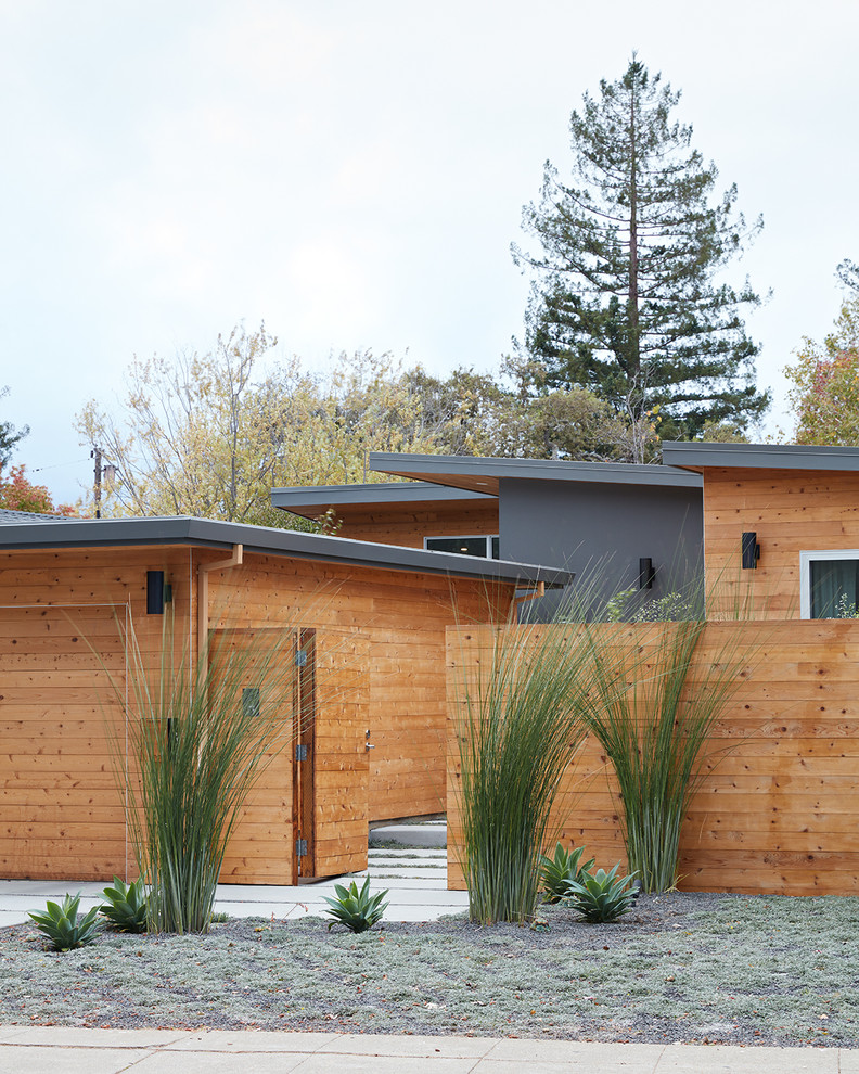 Ispirazione per la villa marrone moderna a un piano di medie dimensioni con rivestimento in legno e tetto piano