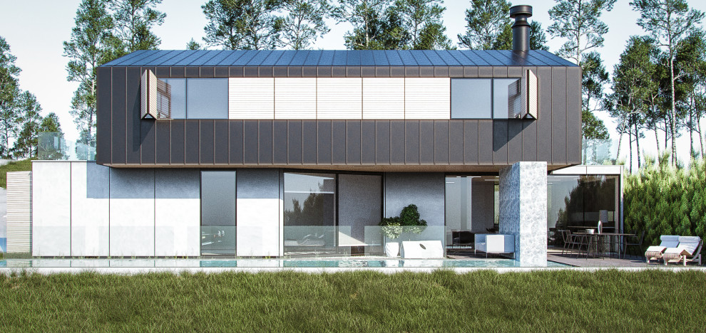 Cette image montre une façade de maison métallique et noire nordique de taille moyenne et à un étage avec un toit plat et un toit en métal.