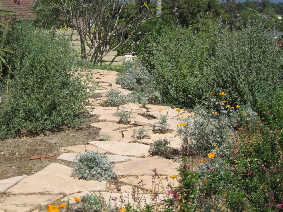 Inspiration for a small mediterranean garden in Orange County.