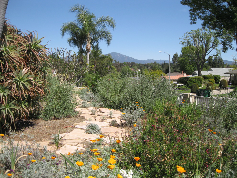 Photo of a small mediterranean landscaping in Orange County.