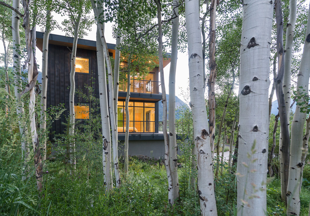 Modelo de fachada de casa marrón minimalista de tamaño medio de tres plantas con revestimiento de madera y tejado plano