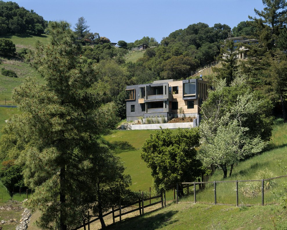 Photo of a modern house exterior in San Francisco with wood cladding.