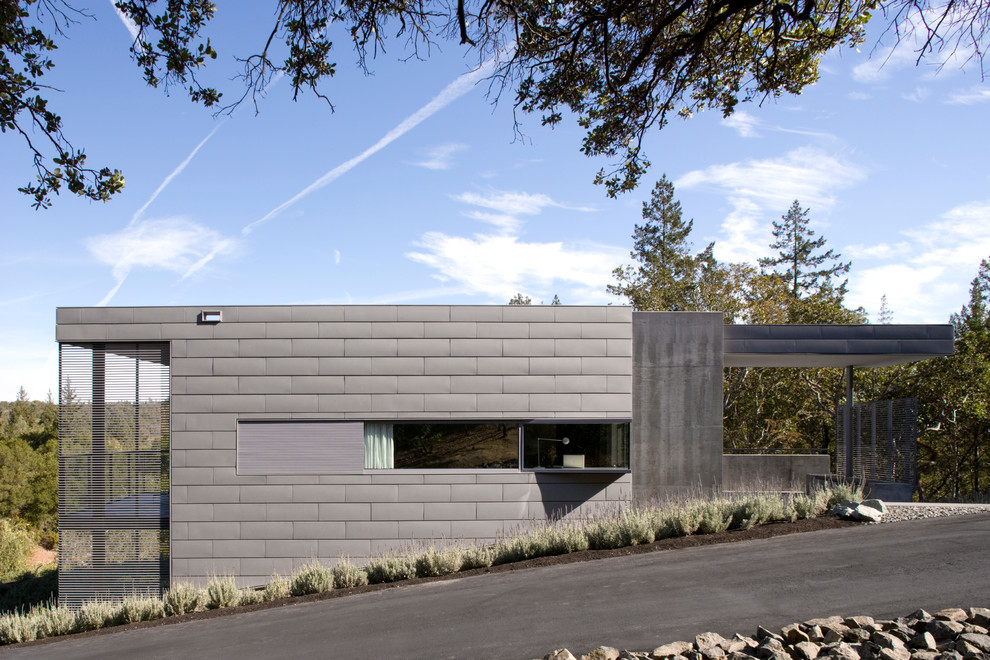 Ispirazione per la facciata di una casa moderna con rivestimento in metallo e tetto piano