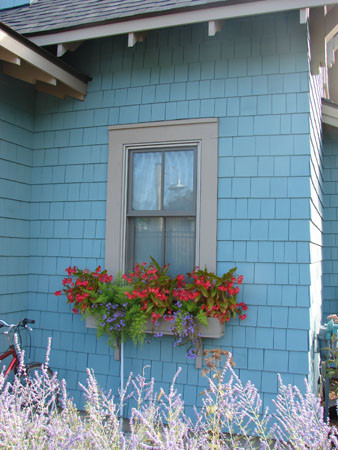 Foto della facciata di una casa piccola blu classica a un piano con rivestimento in legno
