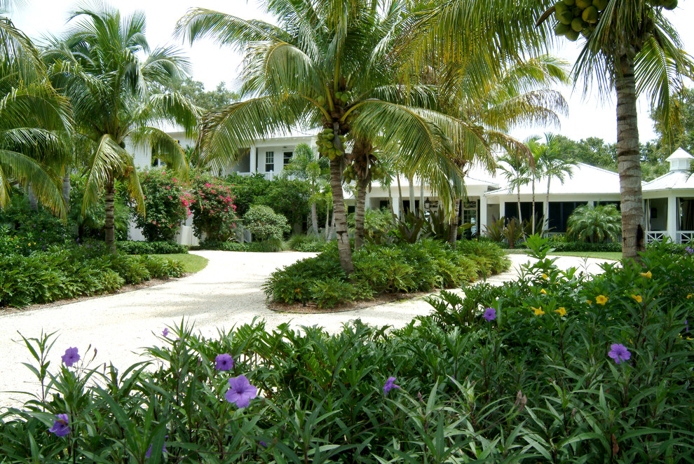 マイアミにあるラグジュアリーな巨大なトロピカルスタイルのおしゃれな家の外観の写真