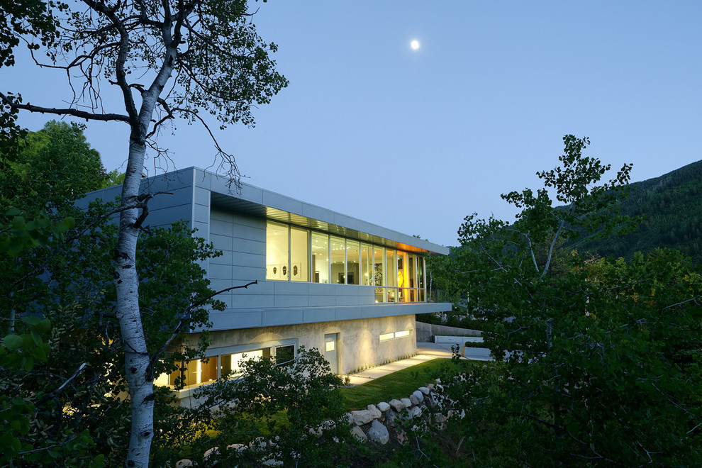 Cette image montre une façade de maison minimaliste de taille moyenne et à un étage.