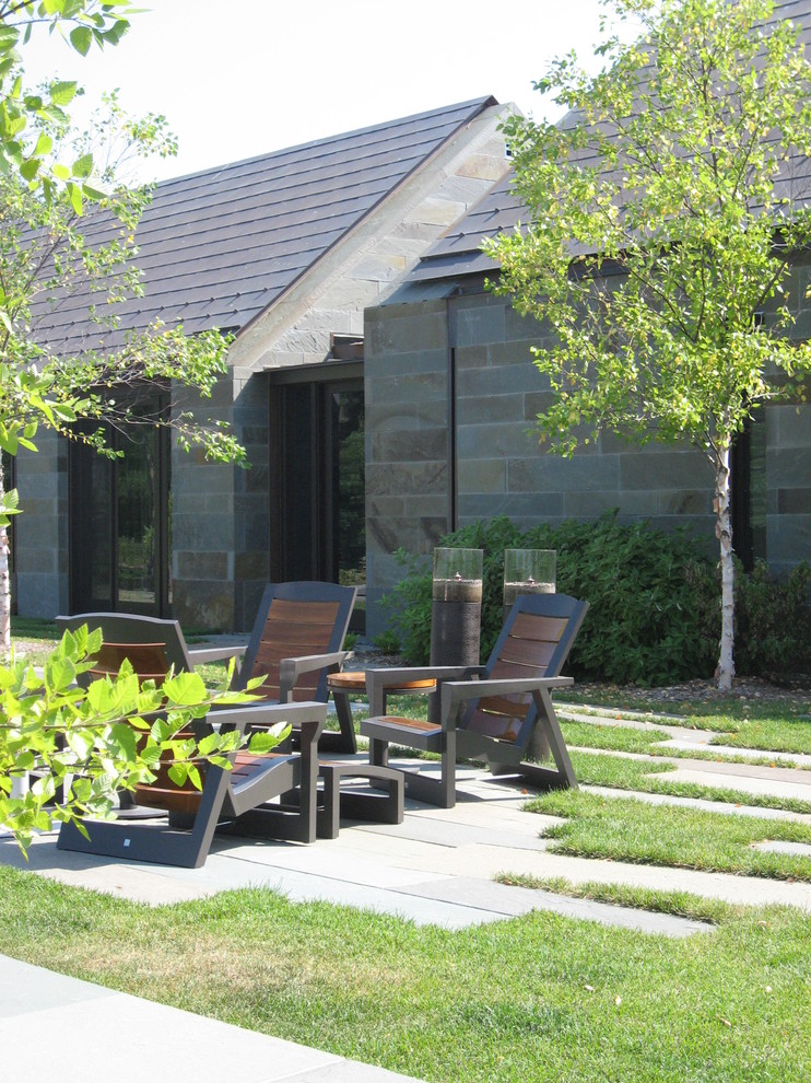 Minimalist stone exterior home photo in Minneapolis