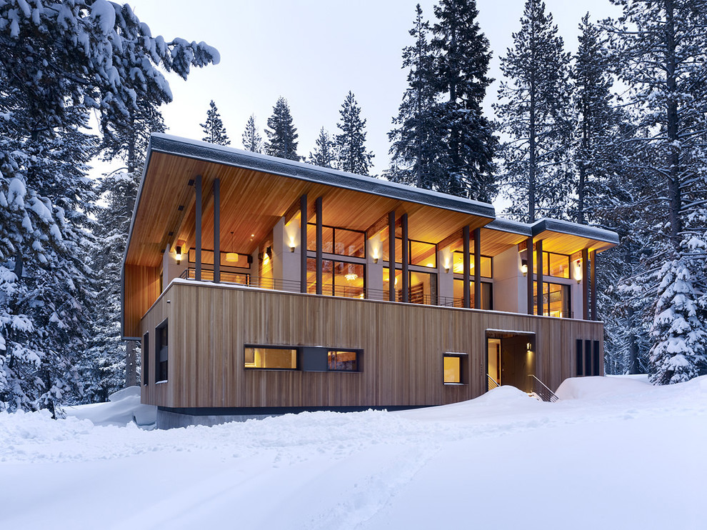 Immagine della facciata di una casa contemporanea con rivestimento in legno e tetto piano