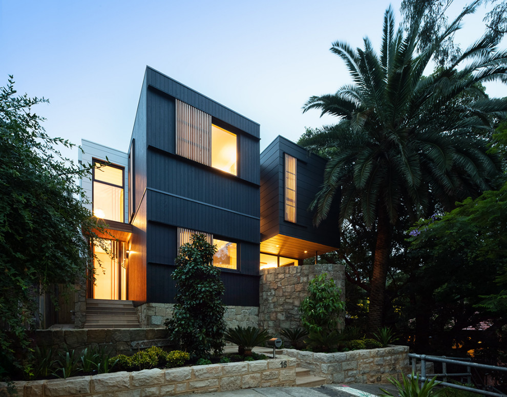 Cette photo montre une grande façade de maison noire tendance à un étage avec un toit plat et un toit en métal.