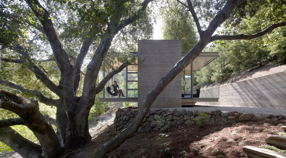 Cette image montre une petite façade de maison minimaliste en verre de plain-pied avec un toit plat.