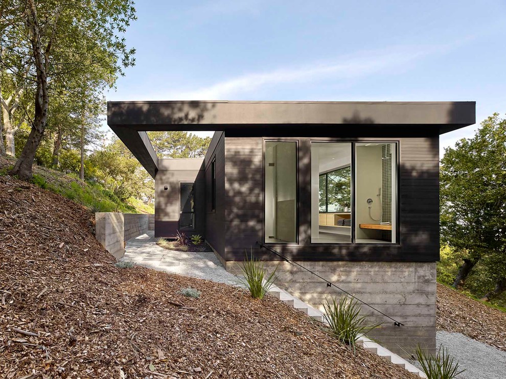 Idée de décoration pour une façade de maison noire design en bois de taille moyenne et de plain-pied avec un toit plat.