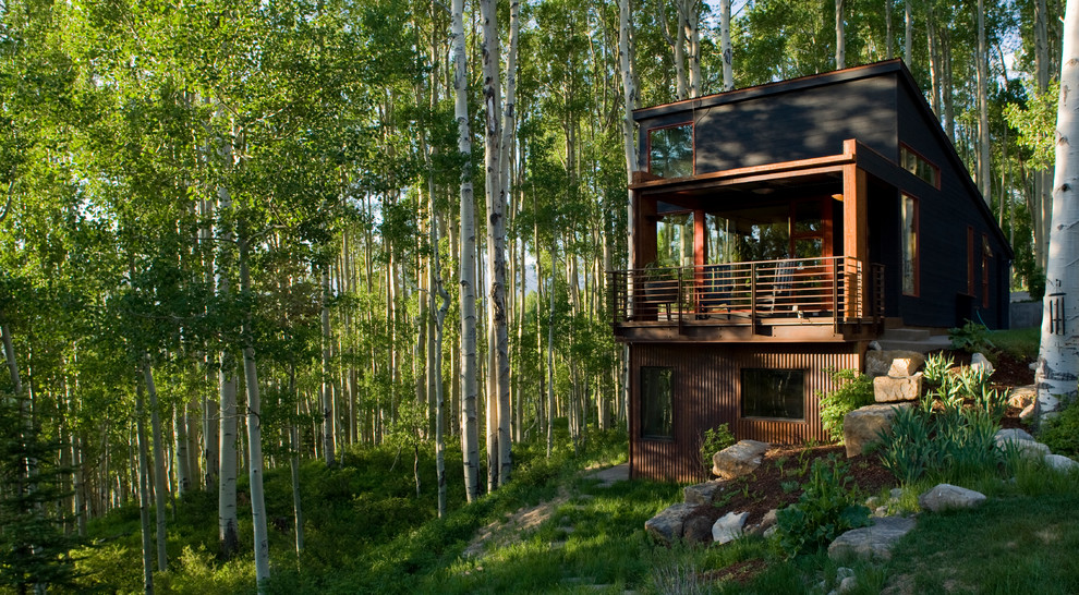 Zweistöckige Moderne Holzfassade Haus mit Pultdach in Denver